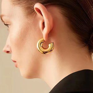 Zara minimalist chunky hoop earrings